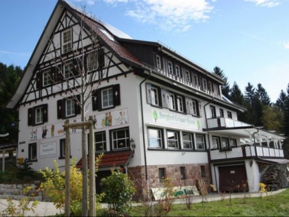 Foto: Gr&amp;uuml;ner Baum